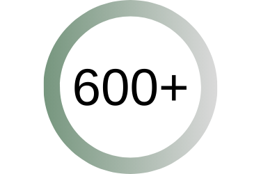 500+ (375x250) (1)